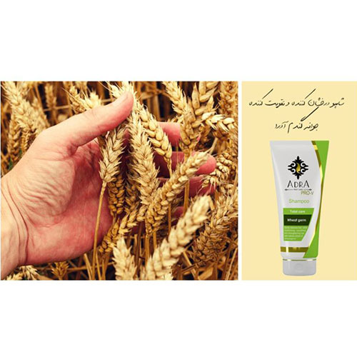 شامپو پروتئینه جوانه گندم آدرا مناسب انواع مو مدل wheat germ حجم 200 میلی لیتر