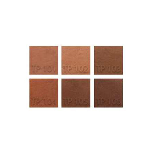 رژگونه پارس پلادیس مدل Promise شماره 102