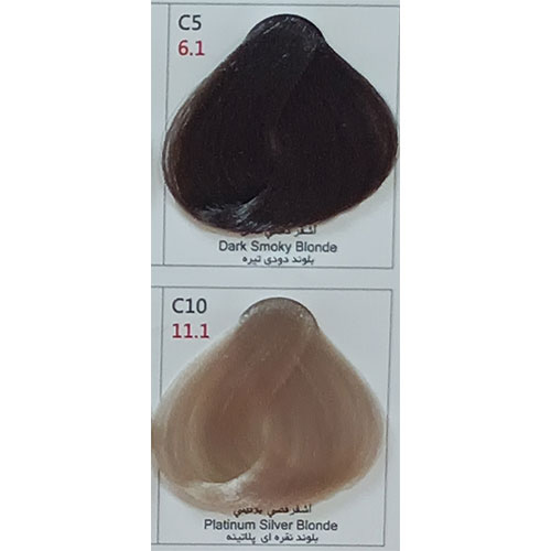 رنگ مو پادینا سری دودی شماره C10 حجم 100 میلی لیتر رنگ بلوند نقره ای پلاتینه
