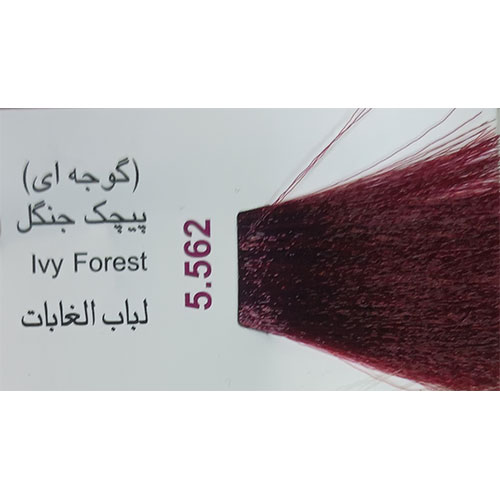 رنگ مو پادینا سری جدید شماره 5.562 حجم 100 میلی لیتر رنگ  پیچک جنگلی (گوجه ای)