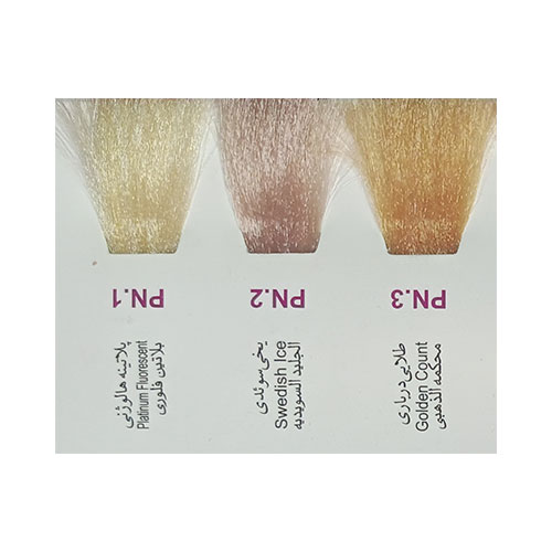 رنگ مو پادینا سری جدید شماره PN.2 حجم 100 میلی لیتر رنگ  یخی سوئدی