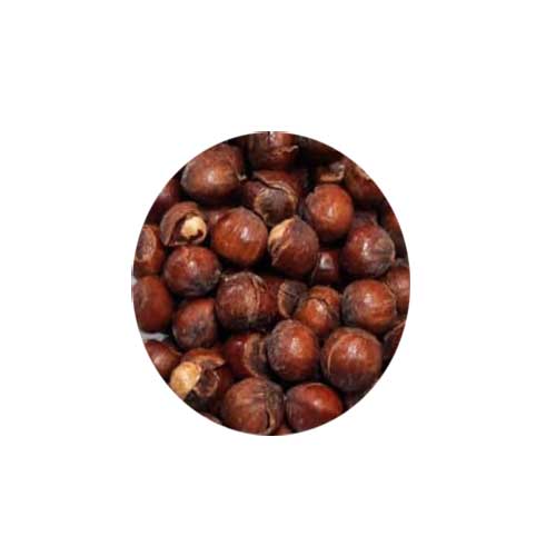 فندق با پوست